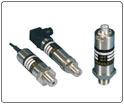 DBS316ϵ�Љ���׃����